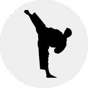Karate Jitsu Class